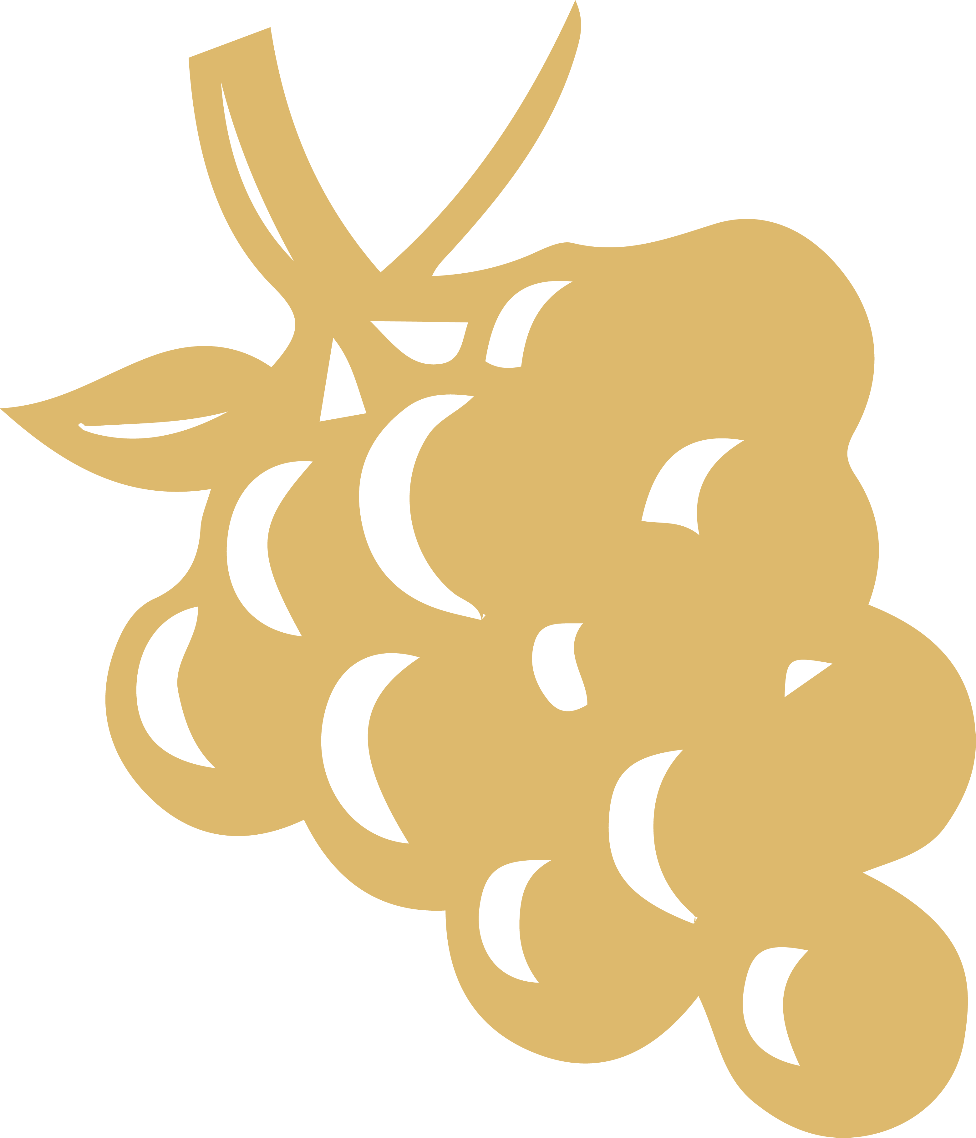 Icon wijn uit de Provence