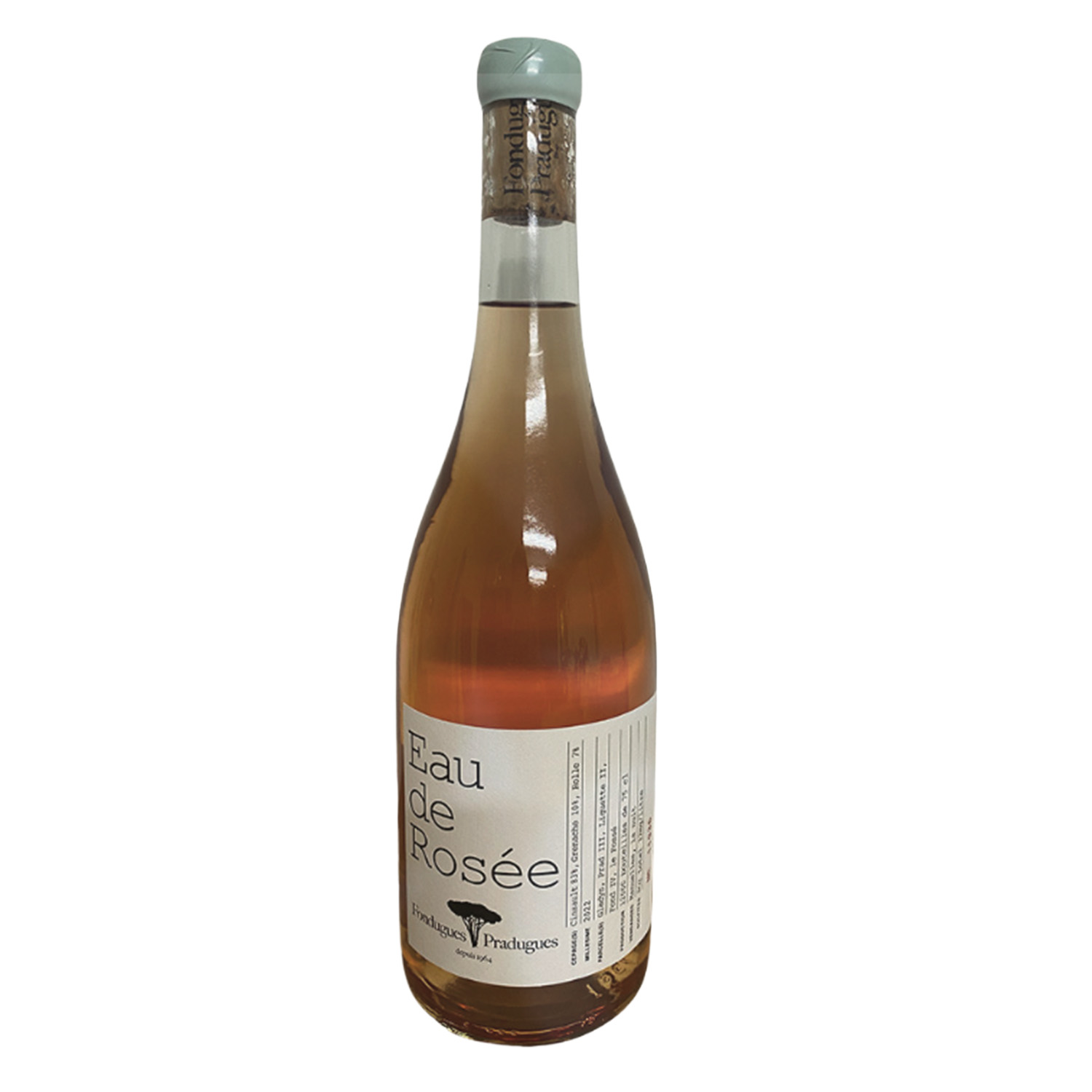 Fondugues rose